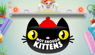 Not Enough Kittens Not Enough Kittens