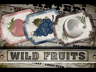 Wild Fruits Wild Fruits