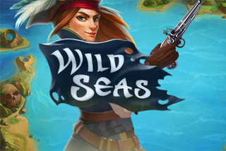 Wild Seas Wild Seas